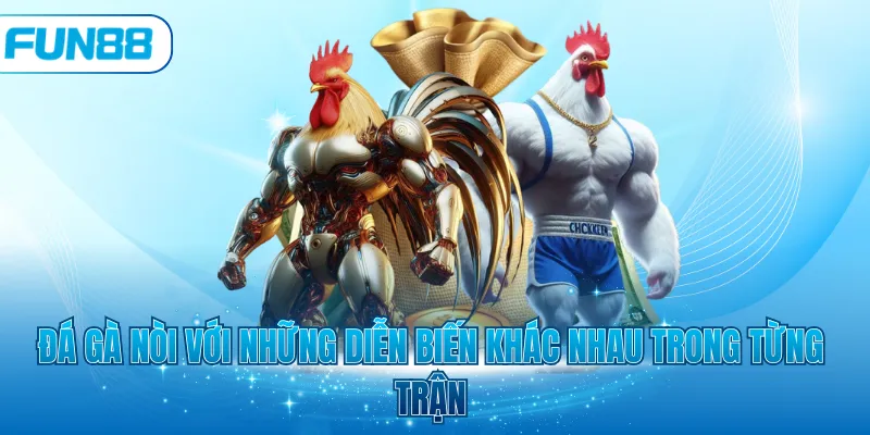 Đá gà nòi với những diễn biến khác nhau trong từng trận
